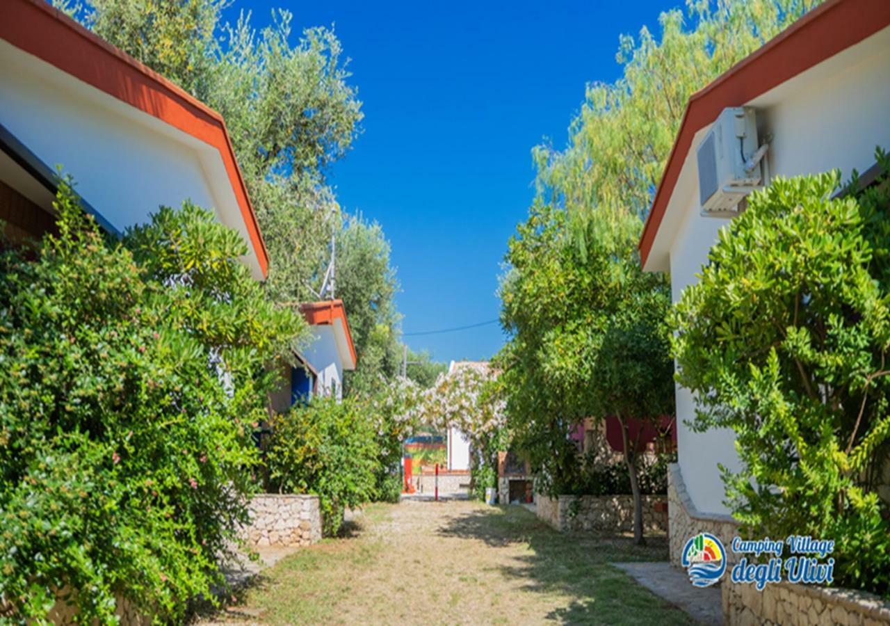 Camping Village Degli Ulivi Mattinata Exterior photo